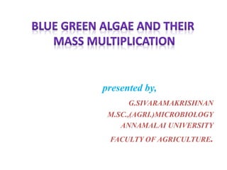 presented by,
G.SIVARAMAKRISHNAN
M.SC.,(AGRI.)MICROBIOLOGY
ANNAMALAI UNIVERSITY
FACULTY OF AGRICULTURE.
 