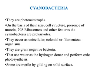 CYANOBACTERIA
•They are photoautotrophs
•On the basis of their size, cell structure, presence of
murein, 70S Ribosome's and other features the
cyanobacteria are prokaryotes.
•They occur as unicellular, colonial or filamentous
organisms.
•They are gram negative bacteria.
•That use water as the hydrogen donar and perform oxic
photosynthesis.
•Some are motile by gliding on solid surface.
 