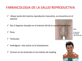 FARMACOLOGIA DE LA SALUD REPRODUCTIVA Mayor parte del sistema reproductor masculino, se encuentra en el exterior Son 2 órganos situados en el exterior del de la cavidad abdominal  Pene Testículos Andrógeno  más activo es la testosterona Forman en los testículos en las Células de Leyding 