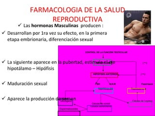 FARMACOLOGIA DE LA SALUD REPRODUCTIVA Las  hormonas Masculinas   producen : Desarrollan por 1ra vez su efecto, en la primera etapa embrionaria, diferenciación sexual La siguiente aparece en la pubertad, estimula el eje hipotálamo – Hipófisis Maduración sexual Aparece la producción de semen CONTROL DE LA FUNCIÓN TESTICULAR  HIPOTÁLAMO  (  -  ) HIPÓFISIS ANTERIOR  (  -  ) FSH  LH-R  Feed-back TESTÍCULOS  Testosterona Inhibina  Glucogeno  Células de Leyding Células de sortoli  Túbulos seminíferos Espermatozoides (  -  ) 
