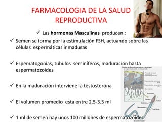 FARMACOLOGIA DE LA SALUD REPRODUCTIVA Las  hormonas Masculinas   producen : Semen se forma por la estimulación FSH, actuando sobre las células  espermáticas inmaduras Espematogonias, túbulos  seminíferos, maduración hasta espermatozoides En la maduración interviene la testosterona El volumen promedio  esta entre 2.5-3.5 ml 1 ml de semen hay unos 100 millones de espermatozoides 