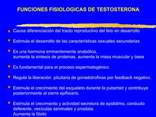 FUNCIONES FISIOLOGICAS DE TESTOSTERONA Causa diferenciación del tracto reproductivo del feto en desarrollo Estimula el desarrollo de las características sexuales secundarias Es una hormona eminentemente anabólica,  aumenta la sintesis de proteinas, aumenta la masa muscular y ósea Es fundamental para el proceso espermatogénico Regula la liberación  pituitaria de gonadotrofinas por feedback negativo. Estimula el crecimiento del esqueleto durante la pubertad y contribuye  posteriormente al cierre epifisiario. Estimula el crecimiento y actividad secretora de epididimo, conducto deferente, vesículas seminales y prostata. Aumenta la líbido 