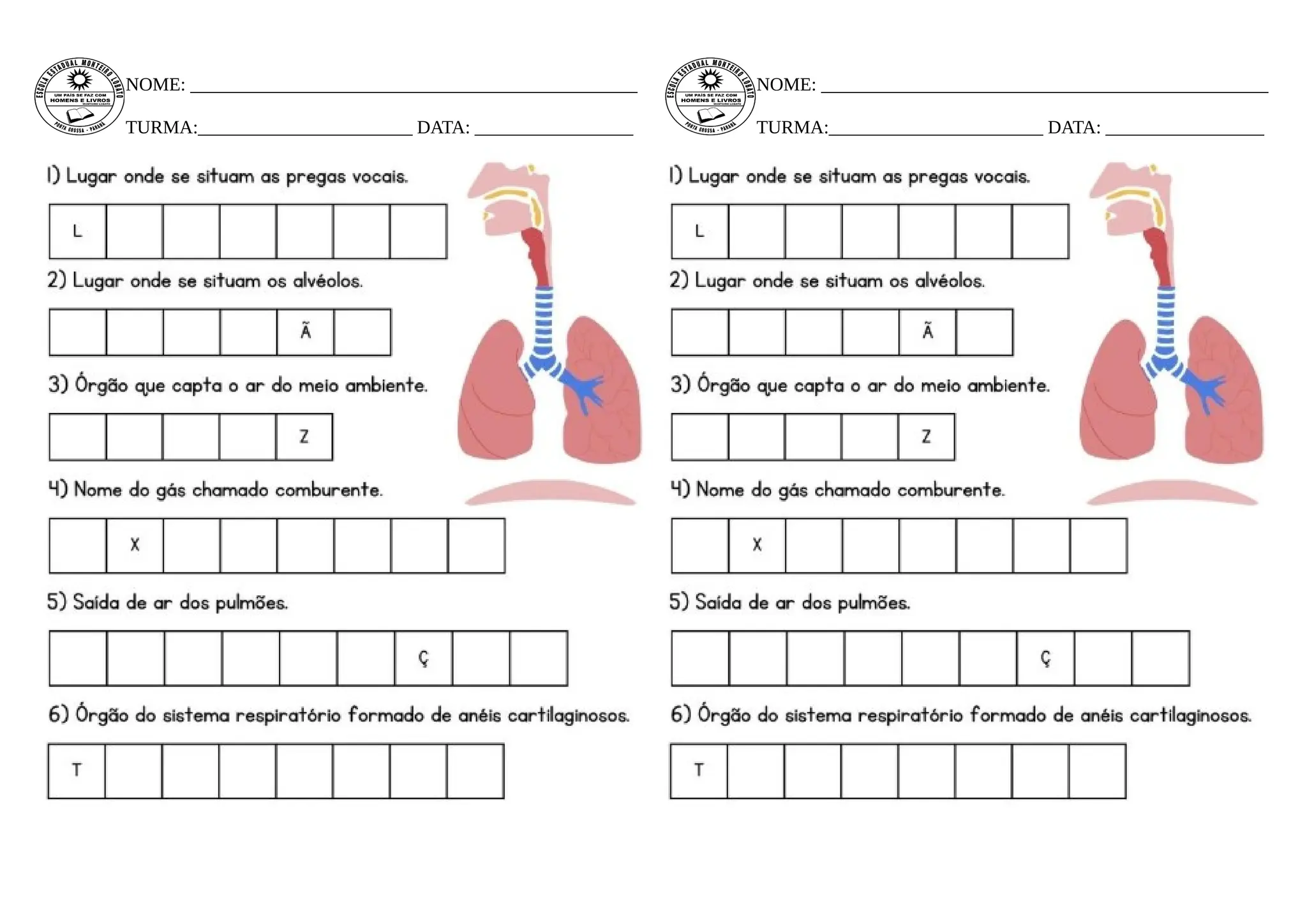 Atividade adaptada nome dos órgãos do sistema respiratório | PPT