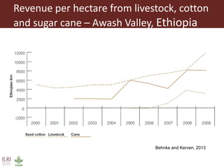 Pastoralism: From vulnerability to resilience