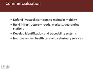 Pastoralism: From vulnerability to resilience