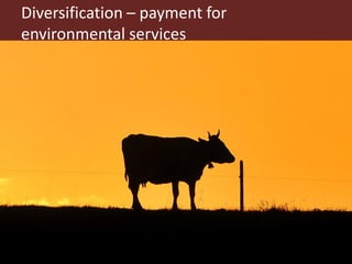 Pastoralism: From vulnerability to resilience