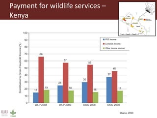 Pastoralism: From vulnerability to resilience