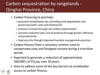 Pastoralism: From vulnerability to resilience