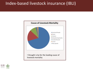 Pastoralism: From vulnerability to resilience