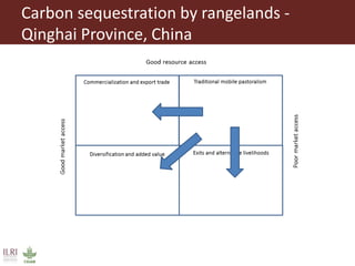 Pastoralism: From vulnerability to resilience