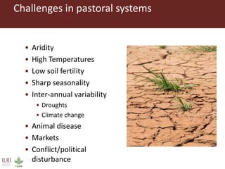 Pastoralism: From vulnerability to resilience