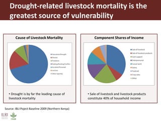 Pastoralism: From vulnerability to resilience