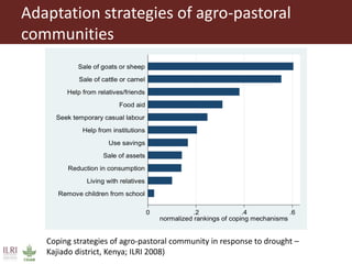 Pastoralism: From vulnerability to resilience