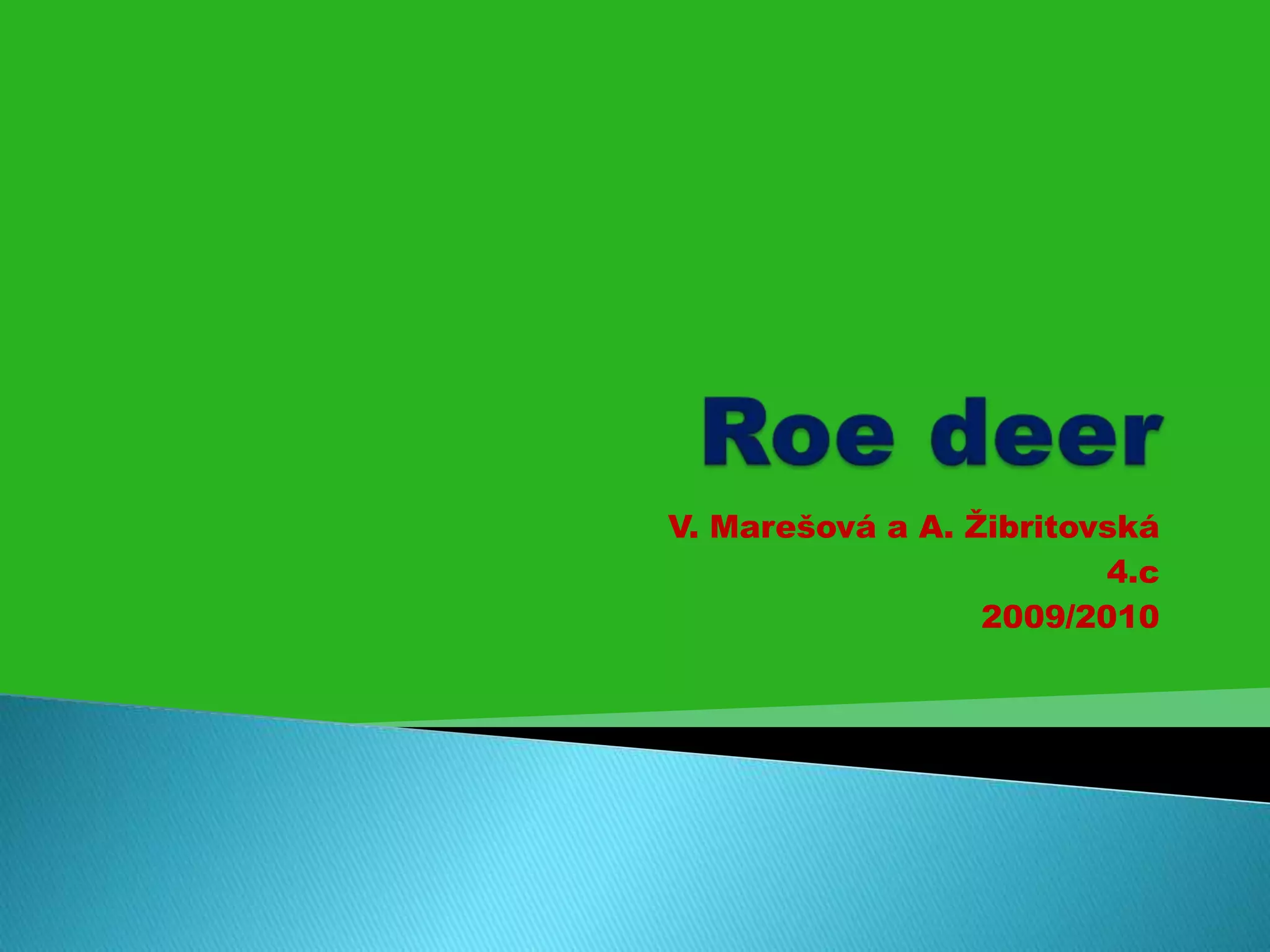 Roe Deer | PPT