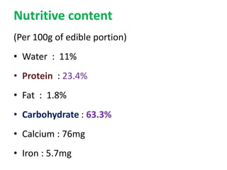 Nutritive content
(Per 100g of edible portion)
• Water : 11%
• Protein : 23.4%
• Fat : 1.8%
• Carbohydrate : 63.3%
• Calcium : 76mg
• Iron : 5.7mg
 