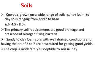 Soils
 Cowpea grown on a wide range of soils -sandy loam to
clay soils ranging from acidic to basic
(pH 4.5 - 8.0).
 The primary soil requirements are good drainage and
presence of nitrogen fixing bacteria
 Sandy to clay loam soils with well drained conditions and
having the pH of 6 to 7 are best suited for getting good yields.
The crop is moderately susceptible to soil salinity
 