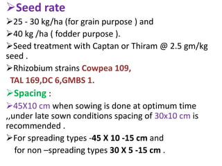 Seed rate
25 - 30 kg/ha (for grain purpose ) and
40 kg /ha ( fodder purpose ).
Seed treatment with Captan or Thiram @ 2.5 gm/kg
seed .
Rhizobium strains Cowpea 109,
TAL 169,DC 6,GMBS 1.
Spacing :
45X10 cm when sowing is done at optimum time
,,under late sown conditions spacing of 30x10 cm is
recommended .
For spreading types -45 X 10 -15 cm and
for non –spreading types 30 X 5 -15 cm .
 