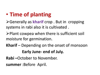 • Time of planting
Generally as kharif crop . But in cropping
systems in rabi also it is cultivated .
Plant cowpea when there is sufficient soil
moisture for germination.
Kharif – Depending on the onset of monsoon
Early June- end of July.
Rabi –October to November.
summer :Before April.
 