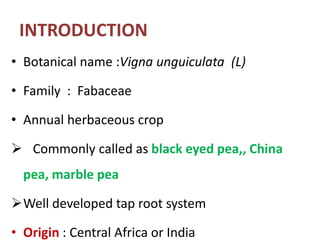 INTRODUCTION
• Botanical name :Vigna unguiculata (L)
• Family : Fabaceae
• Annual herbaceous crop
 Commonly called as black eyed pea,, China
pea, marble pea
Well developed tap root system
• Origin : Central Africa or India
 