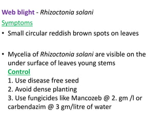 Web blight - Rhizoctonia solani
Symptoms
• Small circular reddish brown spots on leaves
• Mycelia of Rhizoctonia solani are visible on the
under surface of leaves young stems
Control
1. Use disease free seed
2. Avoid dense planting
3. Use fungicides like Mancozeb @ 2. gm /l or
carbendazim @ 3 gm/litre of water
 