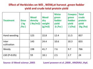 Effect of Herbicides on WD , WDW,at harvest ,green fodder
yield and crude total protein yield
Treatment Dose
( kg
/ha )
Weed
density
( No/m2)
Weed
dry
weight
(g/m2)
Maize
green
fodder
yield
(t /ha )
Cowpea
green
fodder
yield
( t/ha)
Total
crude
protein
yield
(kg /ha)
Hand weeding 123 22.8 12.4 11.5 857
Inter
cultivation
143 24.4 10.6 10.3 833
Weedy 198 41.7 7.6 9.7 766
LSD (P=0.05) 59 18.1 2.5 2.7 24
Source :IJ Weed science ,2005 Laxmi praveen et al ,2000 , ANGRAU ,Hyd.
 