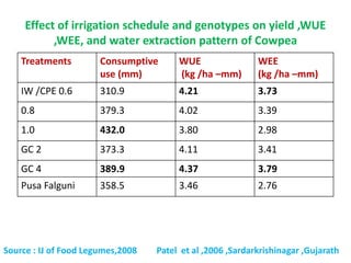 Effect of irrigation schedule and genotypes on yield ,WUE
,WEE, and water extraction pattern of Cowpea
Treatments Consumptive
use (mm)
WUE
(kg /ha –mm)
WEE
(kg /ha –mm)
IW /CPE 0.6 310.9 4.21 3.73
0.8 379.3 4.02 3.39
1.0 432.0 3.80 2.98
GC 2 373.3 4.11 3.41
GC 4 389.9 4.37 3.79
Pusa Falguni 358.5 3.46 2.76
Source : IJ of Food Legumes,2008 Patel et al ,2006 ,Sardarkrishinagar ,Gujarath
 
