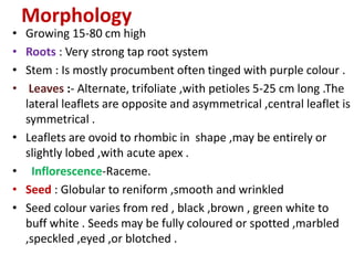 Morphology
• Growing 15-80 cm high
• Roots : Very strong tap root system
• Stem : Is mostly procumbent often tinged with purple colour .
• Leaves :- Alternate, trifoliate ,with petioles 5-25 cm long .The
lateral leaflets are opposite and asymmetrical ,central leaflet is
symmetrical .
• Leaflets are ovoid to rhombic in shape ,may be entirely or
slightly lobed ,with acute apex .
• Inflorescence-Raceme.
• Seed : Globular to reniform ,smooth and wrinkled
• Seed colour varies from red , black ,brown , green white to
buff white . Seeds may be fully coloured or spotted ,marbled
,speckled ,eyed ,or blotched .
 