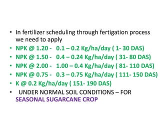 Normal Fertigation SUGARCANE FERTIGATION SHRAVAN REDDY | PPTX