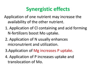 Synergistic effects
Application of one nutrient may increase the
availability of the other nutrient.
1. Application of Cl containing and acid forming
N-fertilizers boost Mo uptake.
2. Application of N usually enhances
micronutrient and utilization.
3.Application of Mg increases P uptake.
4. Application of P increases uptake and
translocation of Mo.
 
