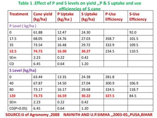 Table 1 .Effect of P and S levels on yield ,,P & S uptake and use
efficiencies of S.cane
Treatment Cane yield
(kg/ha)
P Uptake
(kg/ha )
S Uptake
(kg/ha)
P-Use
Efficiency
S-Use
Efficiency
P Level ( kg/ha )
0 61.88 12.47 24.30 92.0
17.5 68.05 14.76 27.03 358.7 101.5
35 73.54 16.48 29.72 332.9 109.5
52.5 74.73 16.90 30.27 234.5 110.5
SEm 2.23 0.22 0.42
CD 6.45 0.64 1.20
S Level (kg/ha)
0 63.44 13.35 24.38 281.8
40 67.87 14.50 27.04 300.9 106.9
80 73.17 16.17 29.68 324.5 118.7
120 73.73 16.59 30.22 327.5 84.5
SEm 2.23 0.22 0.42
CD(P=0.05) 6.45 0.64 1.20
SOURCE:IJ of Agronomy ,2008 NAVNITH AND U.P.SIMHA ,,2003-05,,PUSA,BIHAR
 