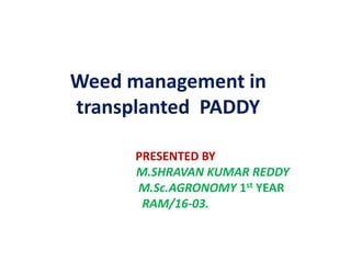 Weed management in
transplanted PADDY
PRESENTED BY
M.SHRAVAN KUMAR REDDY
M.Sc.AGRONOMY 1st YEAR
RAM/16-03.
 