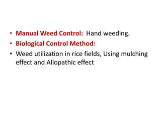 WEED MANAGEMENT IN TRANSPLANTED RICE | PPTX