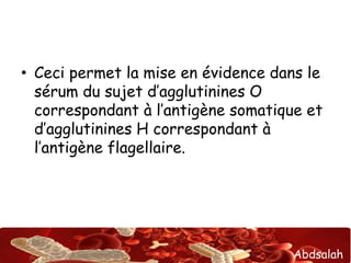 Sérodiagnostic de widal et félix | PPT