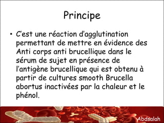 Abdsalah
Principe
• C’est une réaction d’agglutination
permettant de mettre en évidence des
Anti corps anti brucellique dans le
sérum de sujet en présence de
l’antigène brucellique qui est obtenu à
partir de cultures smooth Brucella
abortus inactivées par la chaleur et le
phénol.
 