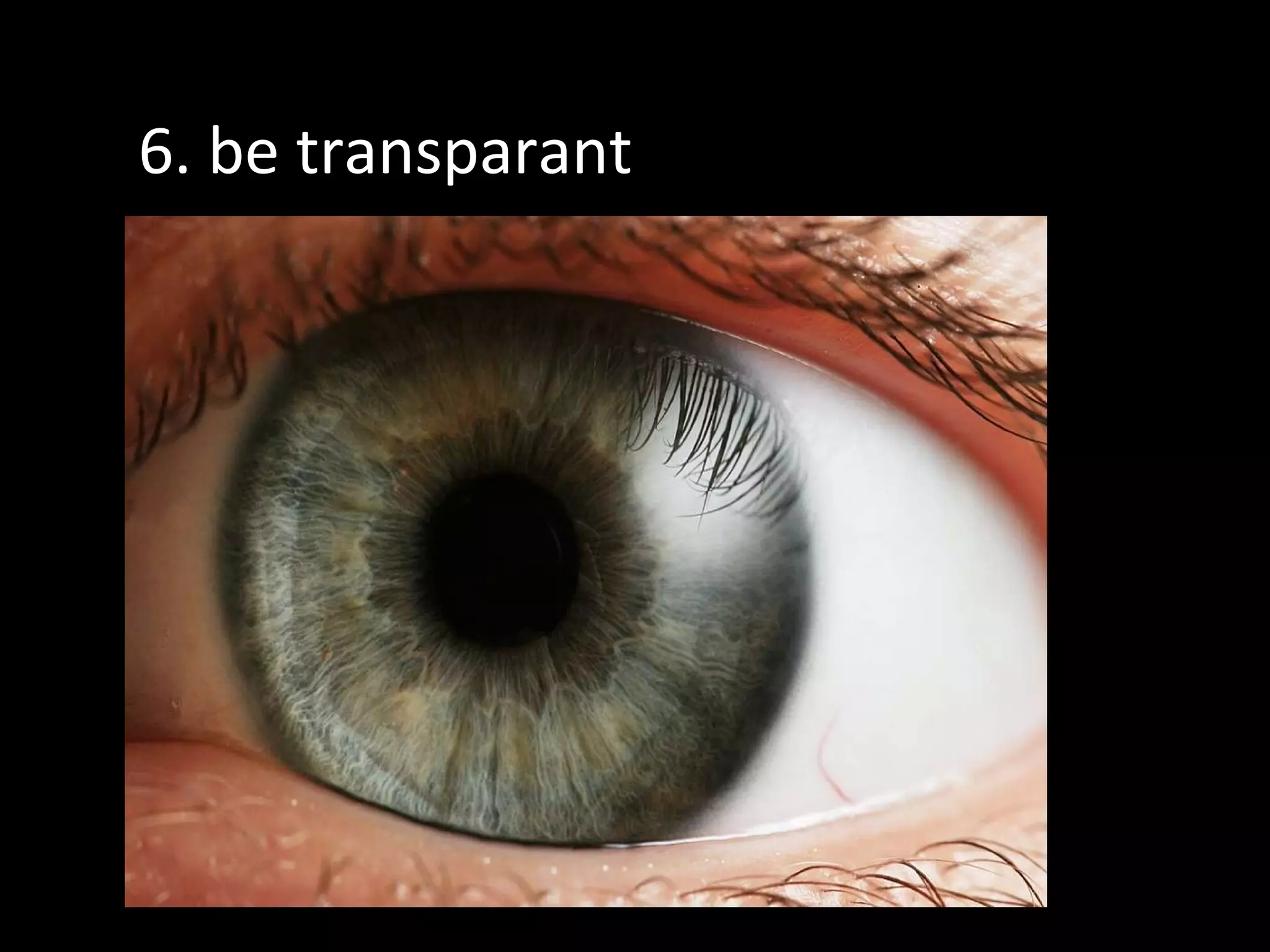 6. be transparant