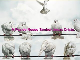 A Paz de Nosso Senhor Jesus Cristo.
 
