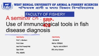 A seminar on :
Use of immunological tools in fish
disease diagnosis
Submittedto, Submitted by,
Prof.T.J.Abraham Md.KaifAli
Prof.G.Dash RollNo.: F/2018/42
Asst.Prof.PrasenjitMali Reg.No.:6441 of2018-19
Dept.OfAAH BFSc.4th yr 2ndsem
FFSc.,WBUAFS
FACULTY OF FISHERY
SCIENCES
SRP-
424
 