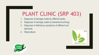 PLANT CLINIC (SRP 403)
1. Diagnosis of damage made by different pests.
2. Diagnosis of damage made by bacteria/virus/fungi
3. Diagnosis of deficiency symptoms of different soil
elements.
4. Weed album
 