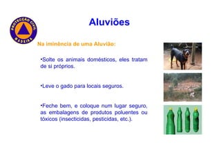 Aluviões   Na iminência de uma Aluvião: Solte os animais domésticos, eles tratam de si próprios. Leve o gado para locais seguros. Feche bem, e coloque num lugar seguro, as embalagens de produtos poluentes ou tóxicos (insecticidas, pesticidas, etc.). 