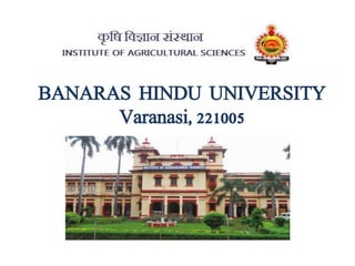 BANARAS HINDU UNIVERSITY
Varanasi, 221005
 