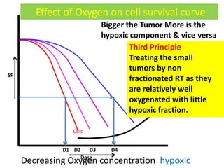 D1 D2 D3 D4
SF
Dose
Effect of Oxygen on cell survival curve
Oxic
Decreasing Oxygen concentration hypoxic
Bigger the Tumor More is the
hypoxic component & vice versa
Third Principle
Treating the small
tumors by non
fractionated RT as they
are relatively well
oxygenated with little
hypoxic fraction.
 