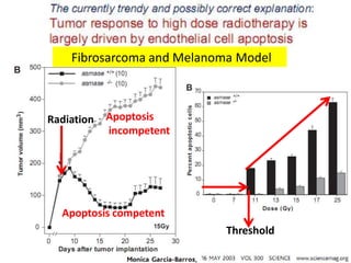 Fibrosarcoma and Melanoma Model
Apoptosis
incompetent
Radiation
Apoptosis competent
Threshold
 
