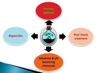 Swimming Pool Safety & Maintenance Tips | PPTX