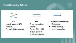 Packet Recovery Options
 