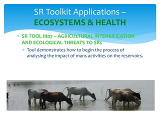 The Small Reservoirs Toolkit