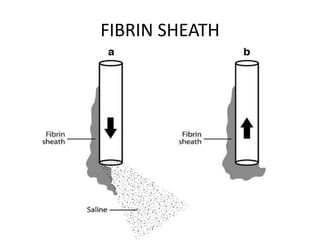 FIBRIN SHEATH
 
