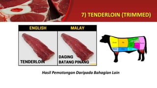 Daging batang pinang in english