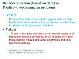 Lessons from the past:  How performance data availability and quality has led to genetic and economic gains in different breeds