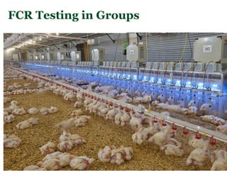 Lessons from the past:  How performance data availability and quality has led to genetic and economic gains in different breeds