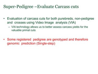 Lessons from the past:  How performance data availability and quality has led to genetic and economic gains in different breeds
